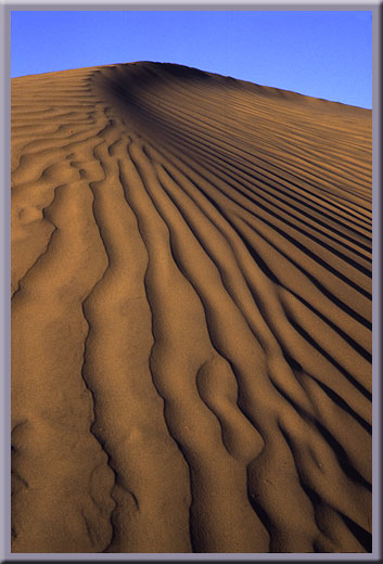 Rippled Dunes - Death Valley, CA
